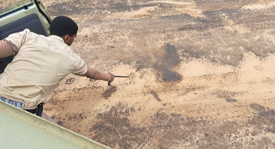 Olifanten pootafdruk gespot game drive